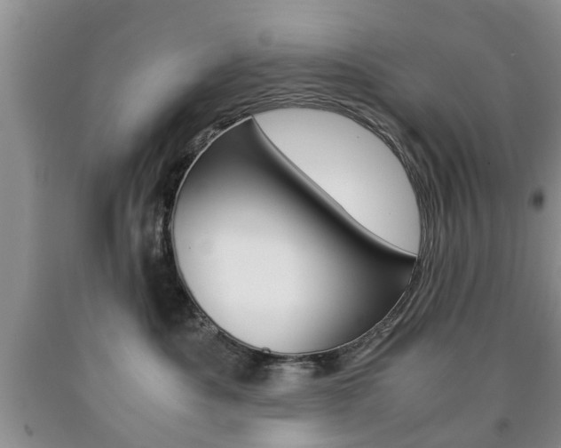 X0000090760525200707201056