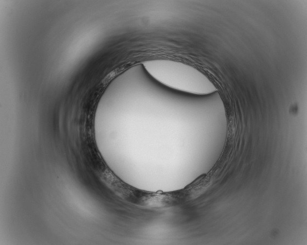 X0000090760527200707201056