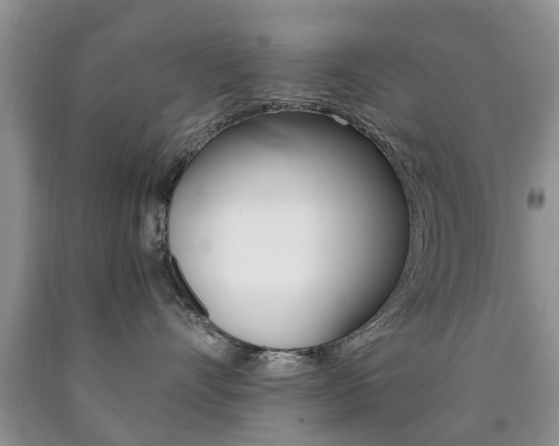 X0000090760528200707201056