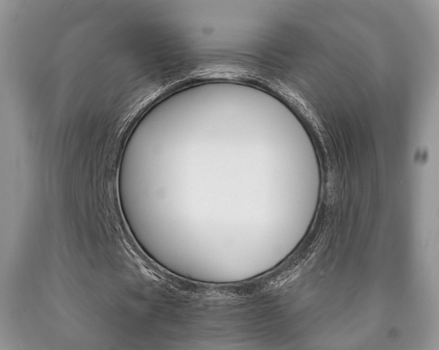 X0000090760529200707201055
