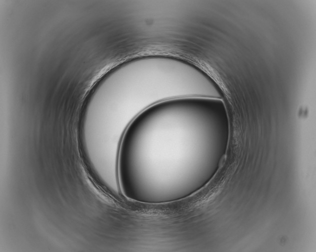 X0000090760530200707201055