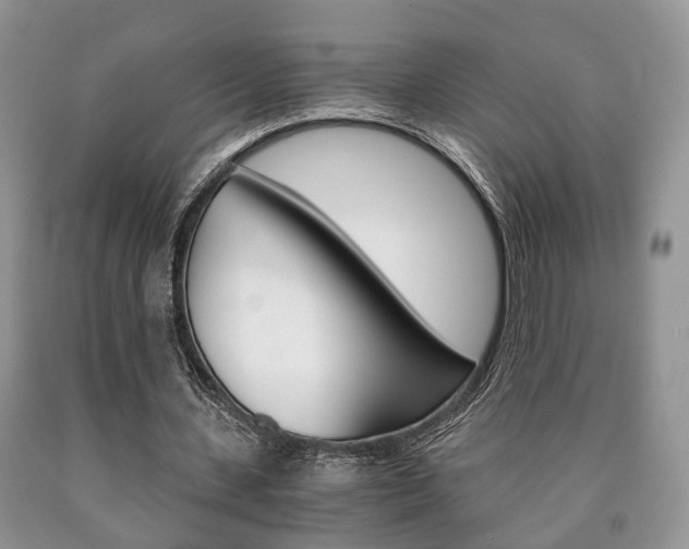 X0000090760531200707201055