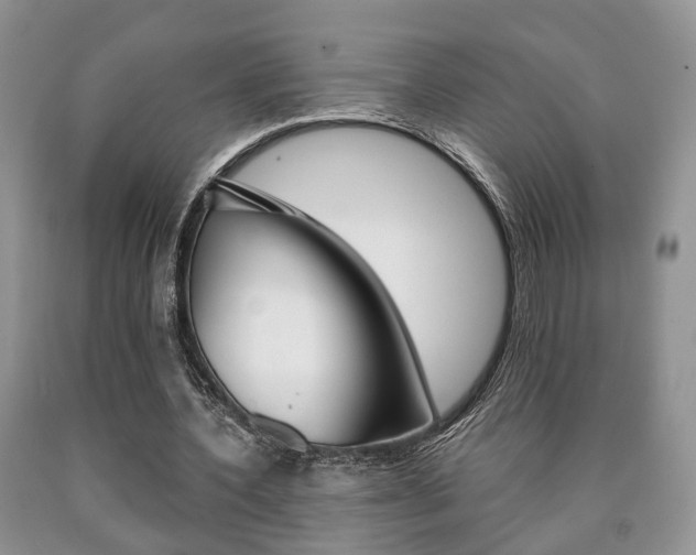 X0000090760532200707201055