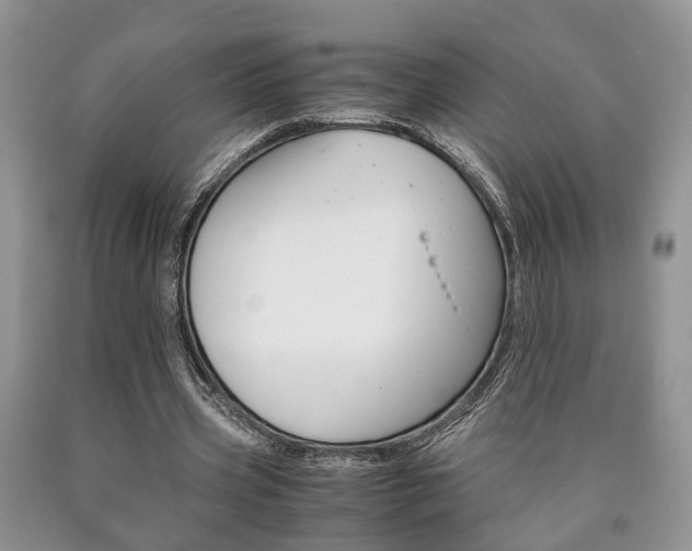 X0000090760533200707201056