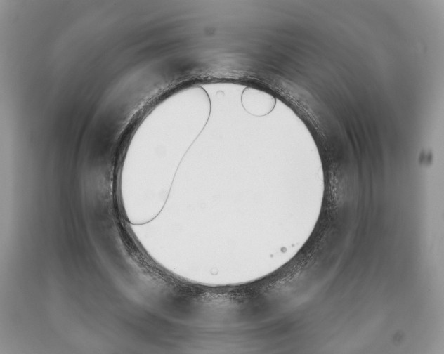 X0000090760534200707201056