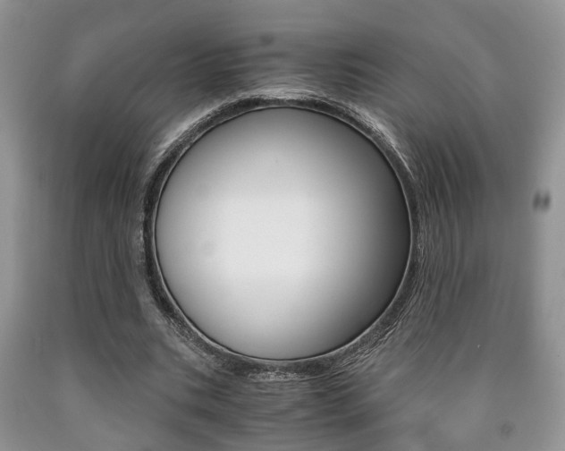 X0000090760535200707201056