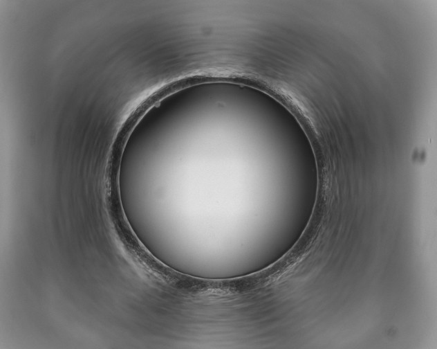 X0000090760536200707201056
