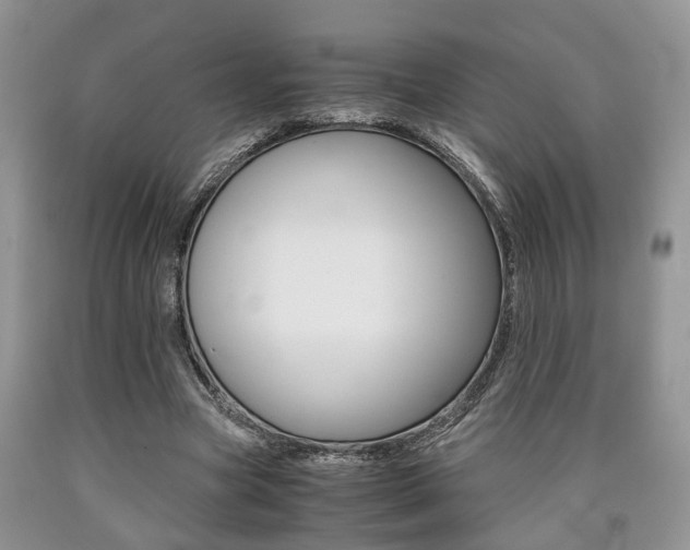 X0000090760537200707201056