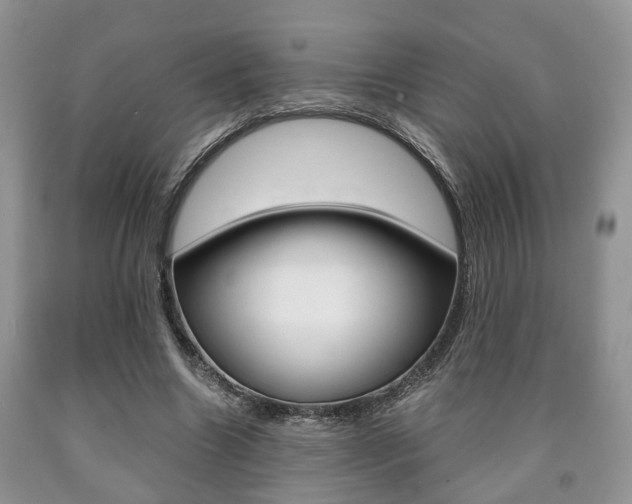 X0000090760538200707201056