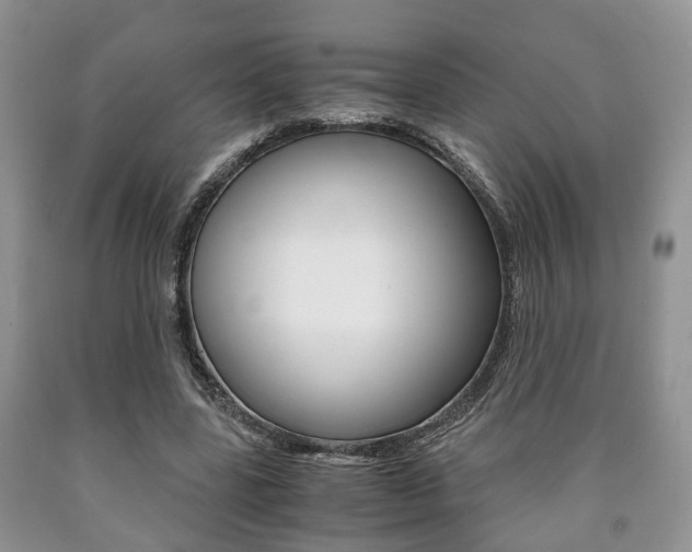 X0000090760539200707201056