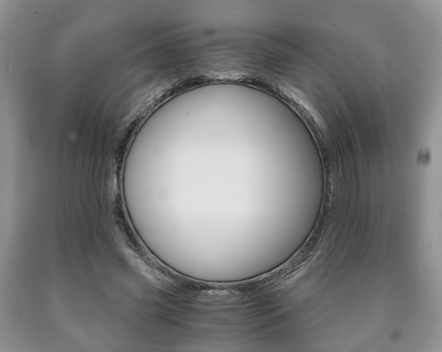 X0000090760541200707201056