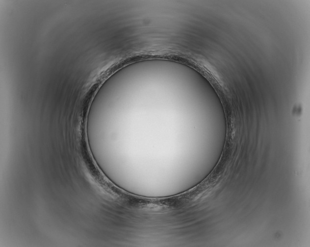 X0000090760542200707201056