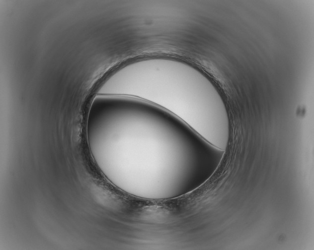 X0000090760544200707201056