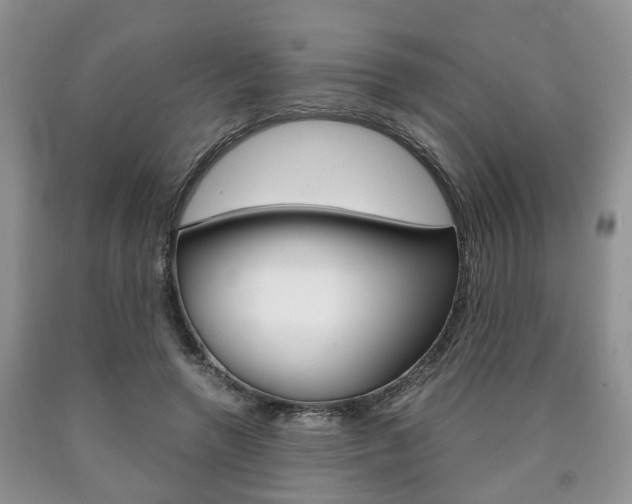 X0000090760546200707201056