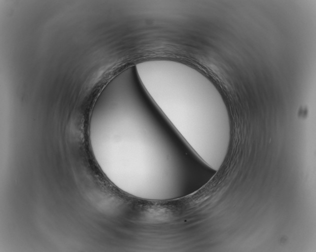 X0000090760547200707201056