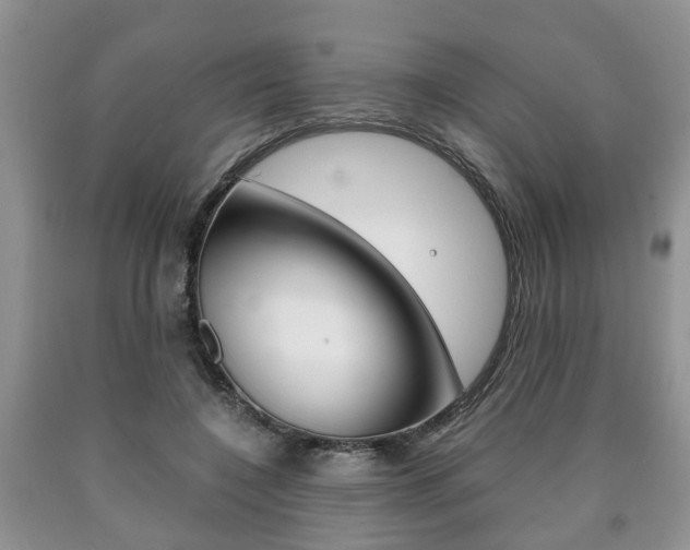 X0000090760548200707201056