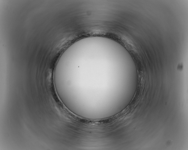 X0000090760550200707201056