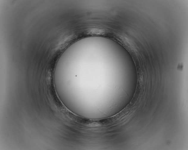 X0000090760551200707201056