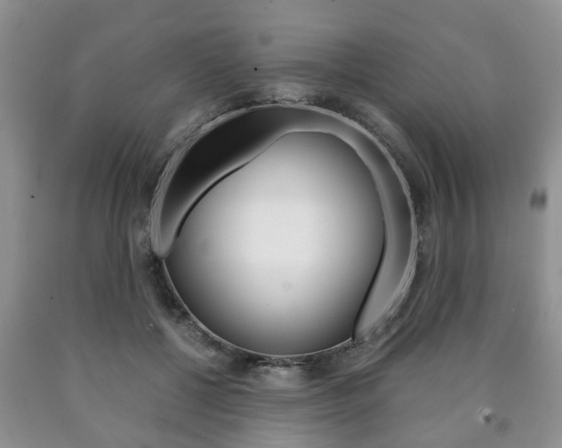 X0000090760552200707201056