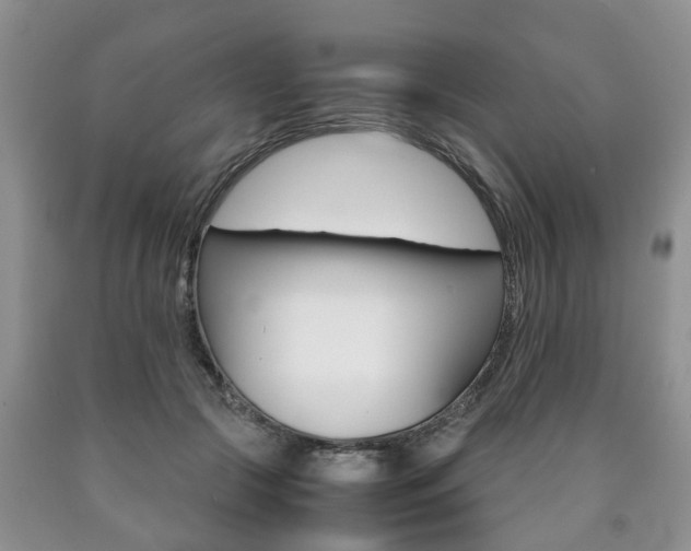 X0000090760553200707201056
