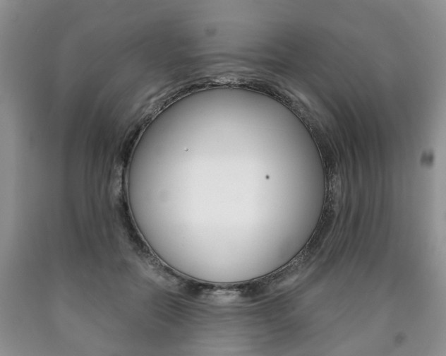 X0000090760554200707201056