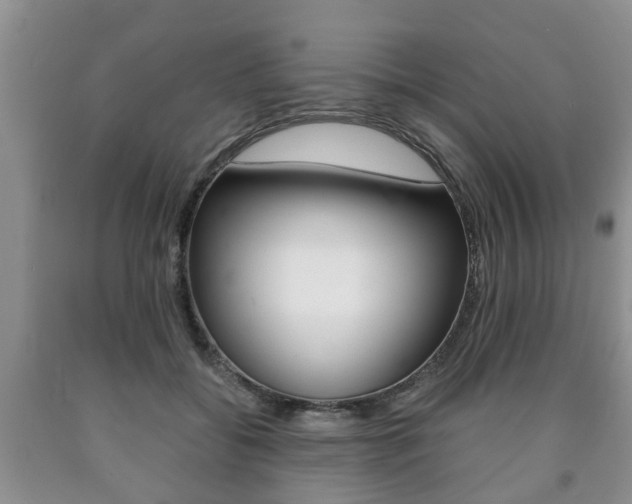 X0000090760556200707201056