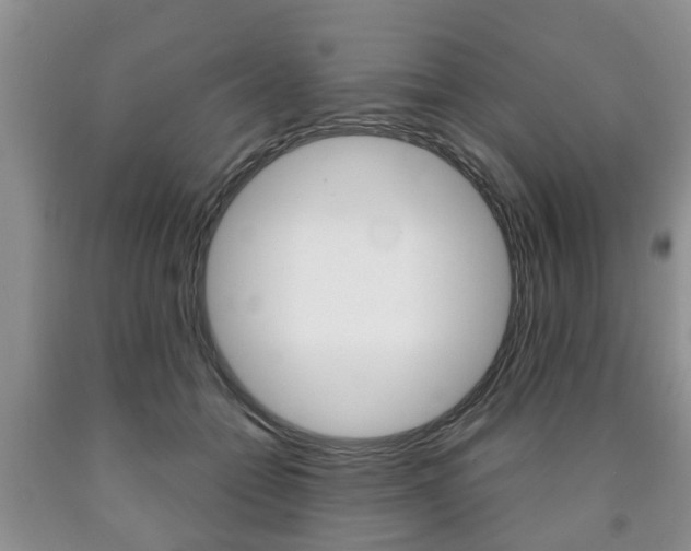 X0000090760558200707201056