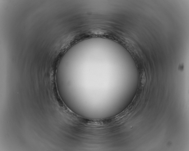 X0000090760559200707201056