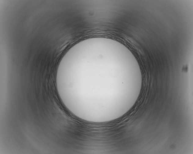 X0000090760560200707201056