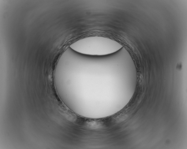 X0000090760561200707201056