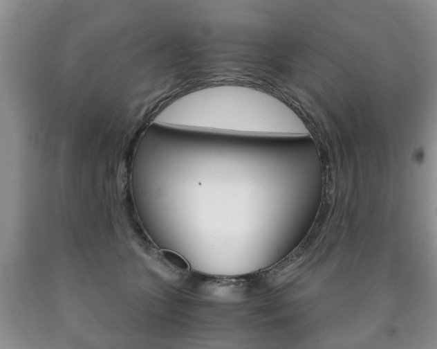 X0000090760563200707201056
