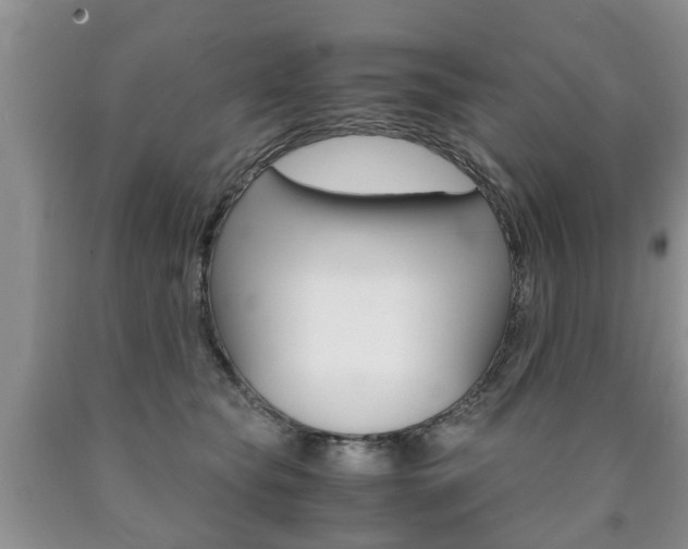 X0000090760565200707201056