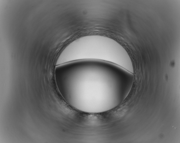 X0000090760566200707201056