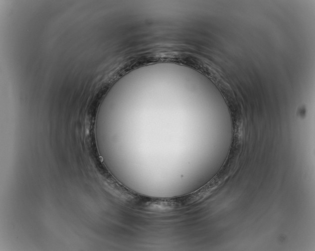 X0000090760567200707201056