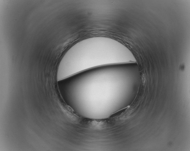 X0000090760570200707201056