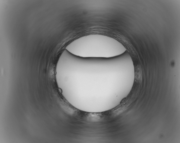 X0000090760573200707201056
