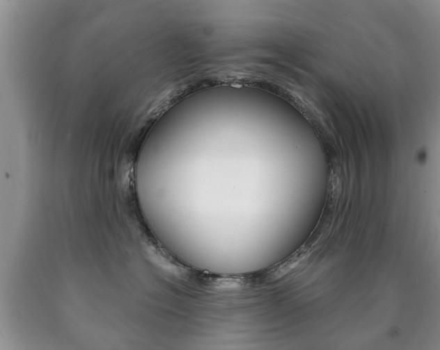 X0000090760574200707201056