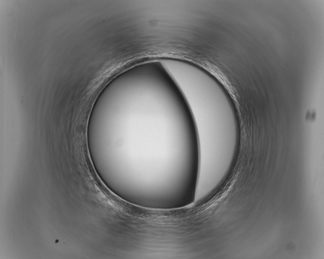 X0000090760577200707201055