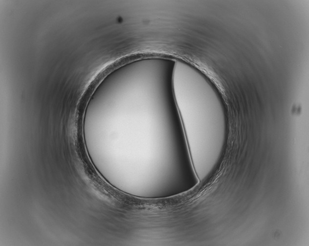 X0000090760580200707201055
