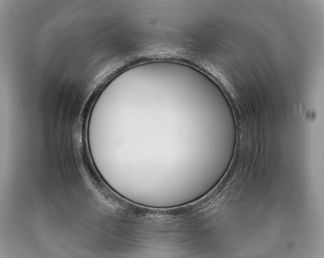 X0000090760582200707201055