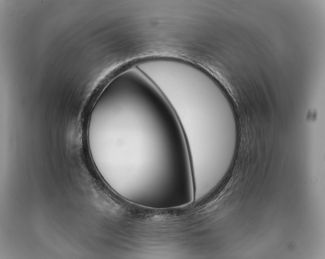 X0000090760584200707201055