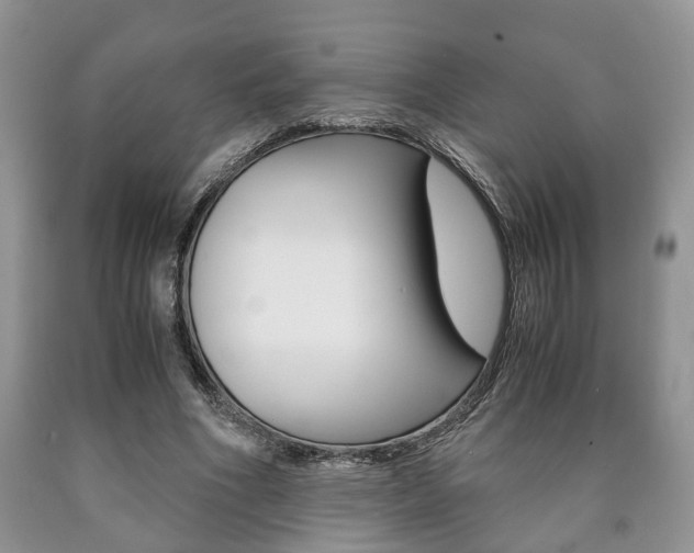 X0000090760586200707201055