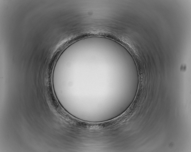 X0000090760587200707201055