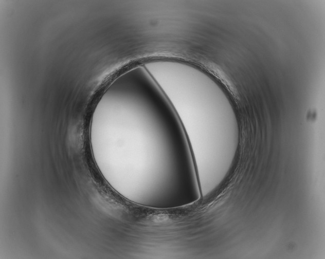 X0000090760588200707201055
