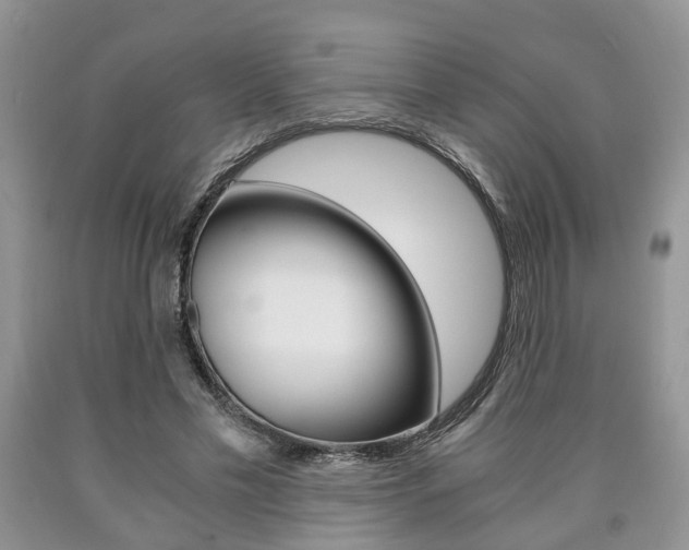 X0000090760589200707201055