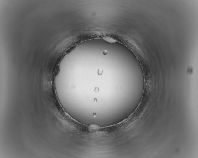 X0000090760593200707201055