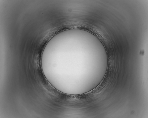 X0000090760594200707201055