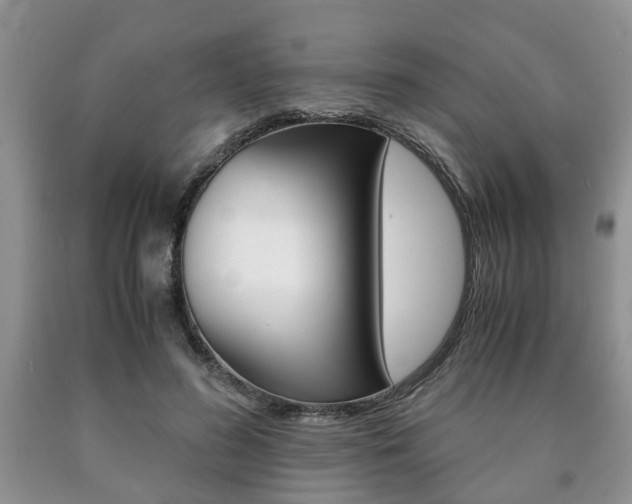 X0000090760596200707201055