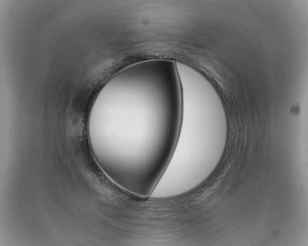 X0000090760597200707201055