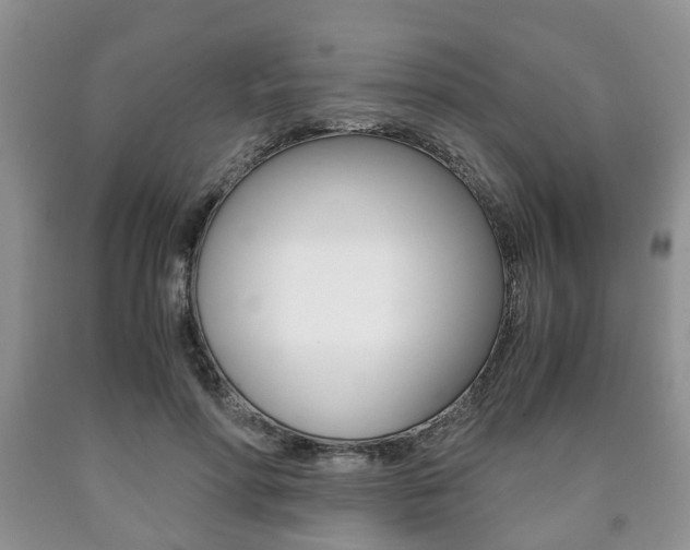X0000090760598200707201055